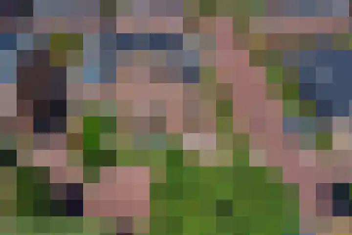 Boomaweg 70 Den Haag thumbnail 68