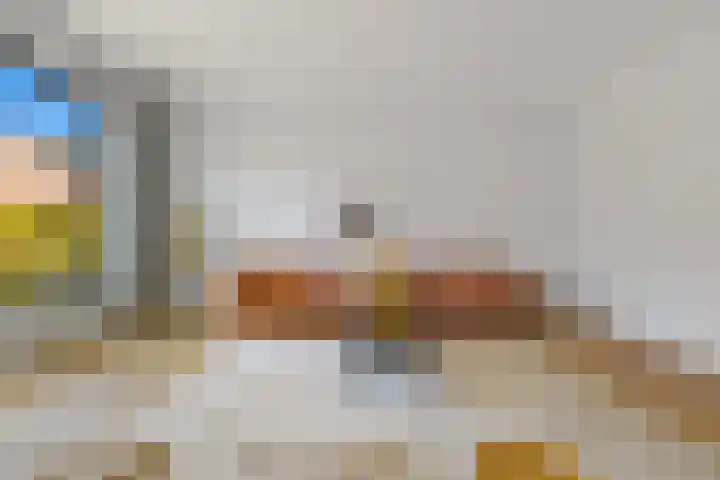 Boomaweg 70 Den Haag thumbnail 7