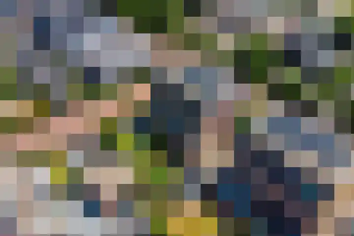 Boomaweg 70 Den Haag thumbnail 70
