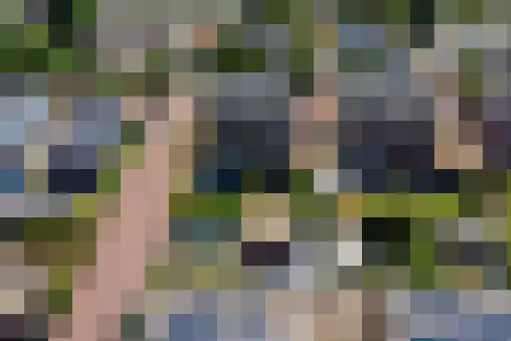 Boomaweg 70 Den Haag thumbnail 72