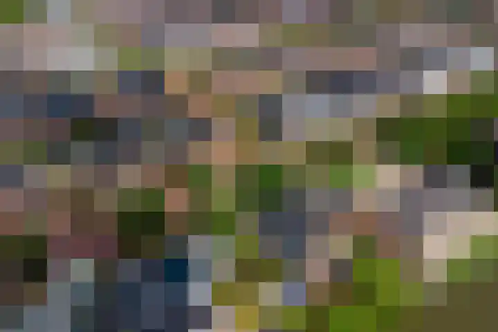 Boomaweg 70 Den Haag thumbnail 74
