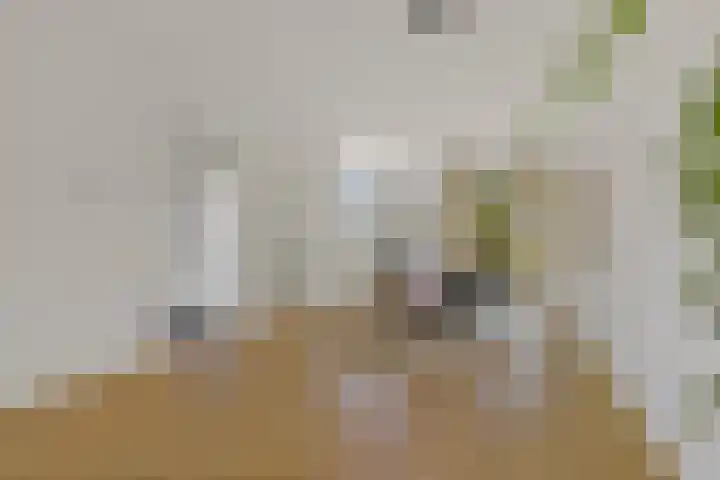 Boomaweg 70 Den Haag thumbnail 9