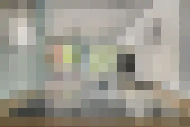 Boomberg 105 Capelle aan den IJssel thumbnail 17