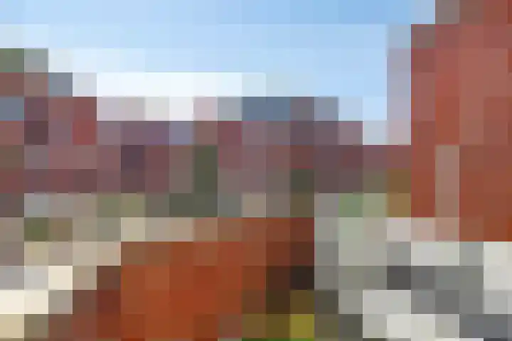 Boomberg 105 Capelle aan den IJssel thumbnail 21