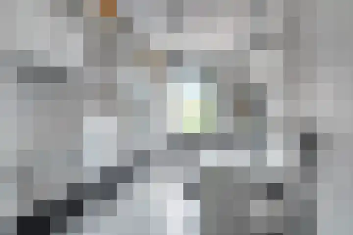 Boomberg 105 Capelle aan den IJssel thumbnail 24