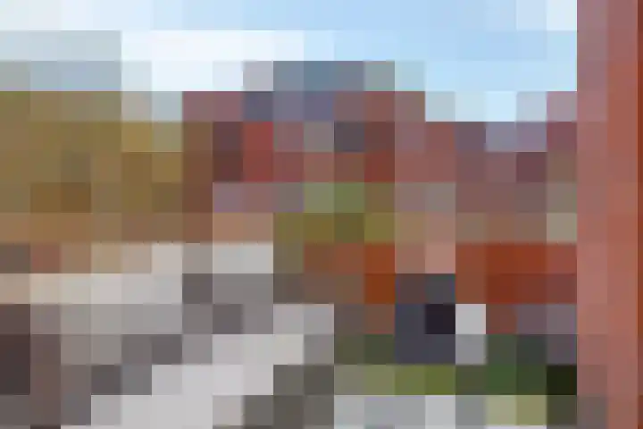 Boomberg 105 Capelle aan den IJssel thumbnail 27