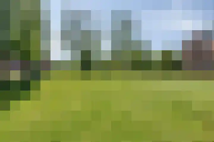 Boomberg 105 Capelle aan den IJssel thumbnail 34