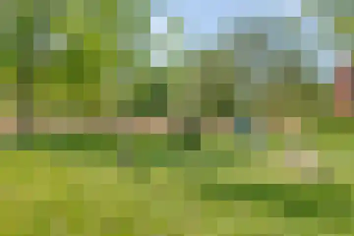 Boomberg 105 Capelle aan den IJssel thumbnail 35