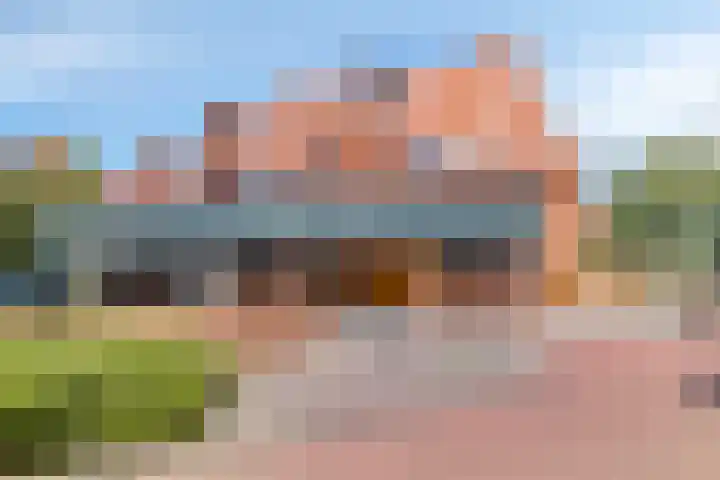 Boomberg 105 Capelle aan den IJssel thumbnail 5