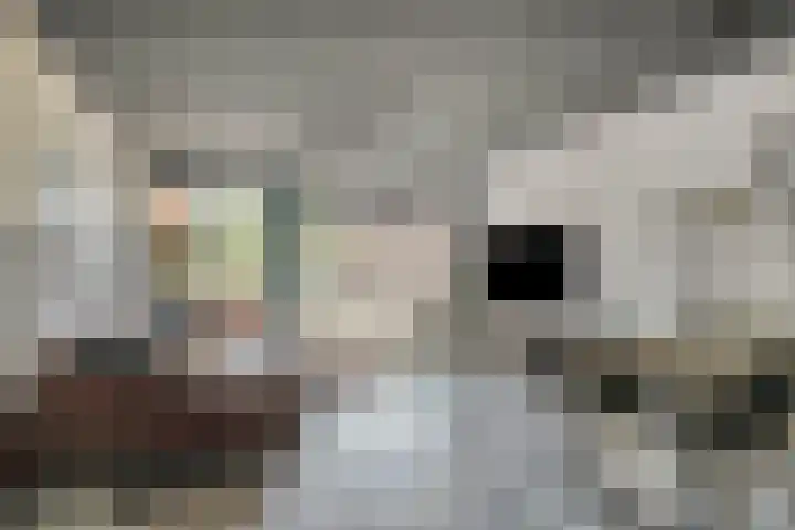 Boomberg 105 Capelle aan den IJssel thumbnail 8