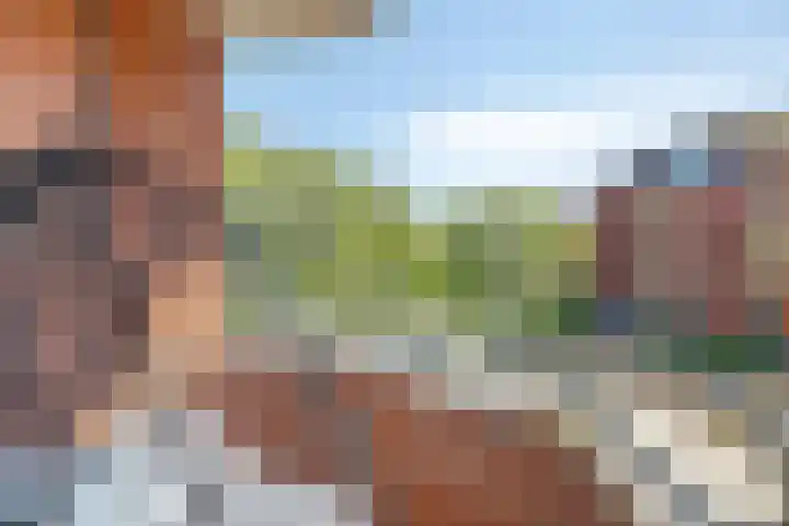 Boomberg 105 Capelle aan den IJssel thumbnail 9