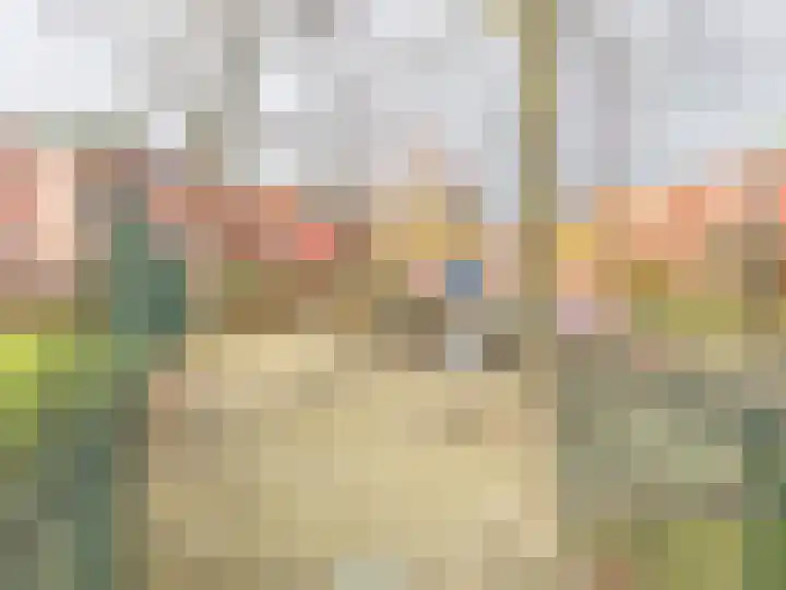 Boomberg 108 Capelle aan den IJssel thumbnail 32