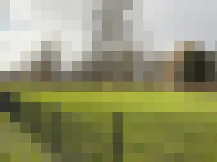Boomberg 108 Capelle aan den IJssel thumbnail 33