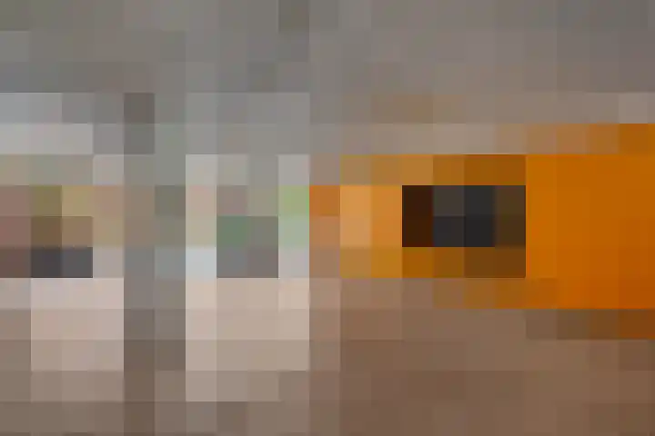 Boomberg 112 Capelle aan den IJssel thumbnail 24