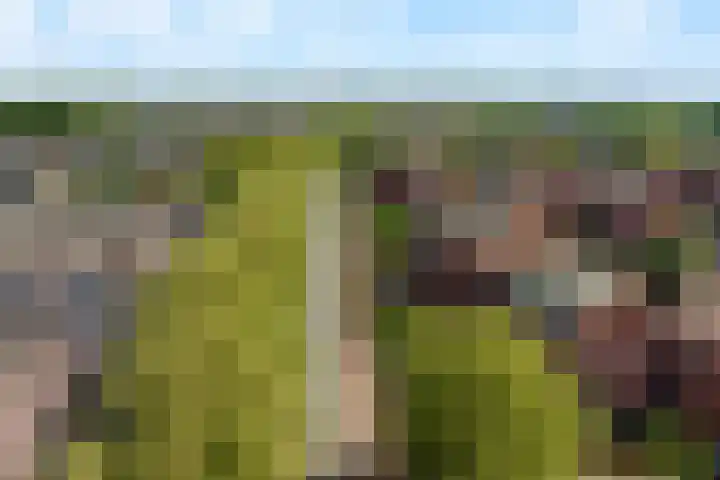 Boomberg 112 Capelle aan den IJssel thumbnail 29