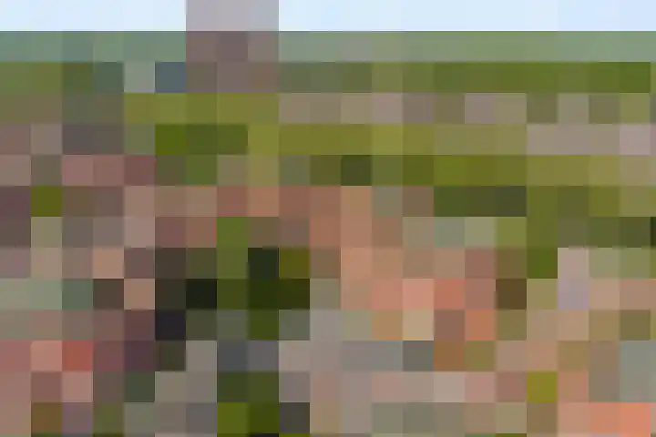 Boomberg 112 Capelle aan den IJssel thumbnail 30