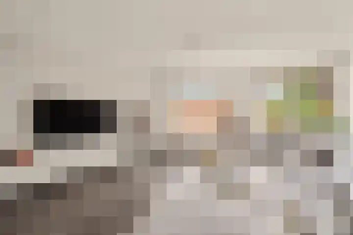 Boomberg 112 Capelle aan den IJssel thumbnail 7