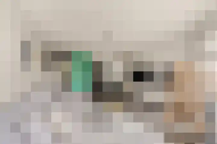 Boomberg 112 Capelle aan den IJssel thumbnail 8