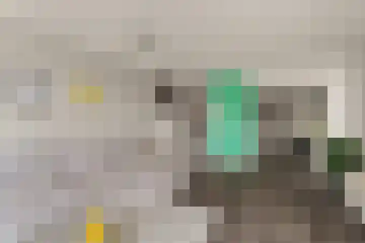 Boomberg 112 Capelle aan den IJssel thumbnail 9
