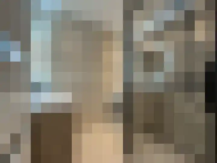 Boomberg 137 Capelle aan den IJssel thumbnail 21