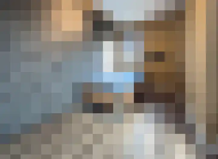Boomberg 137 Capelle aan den IJssel thumbnail 27