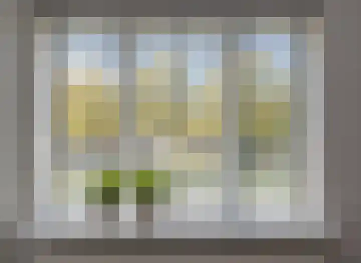 Boomberg 137 Capelle aan den IJssel thumbnail 5