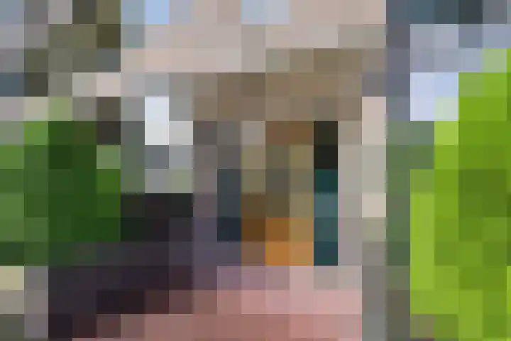 Boomberglaan 55 Hilversum thumbnail 14