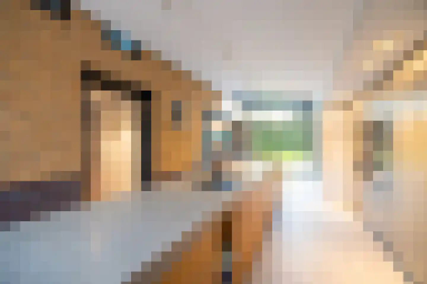 Boomberglaan 59 Hilversum thumbnail 16