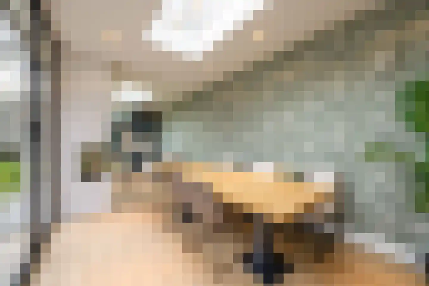 Boomberglaan 59 Hilversum thumbnail 22