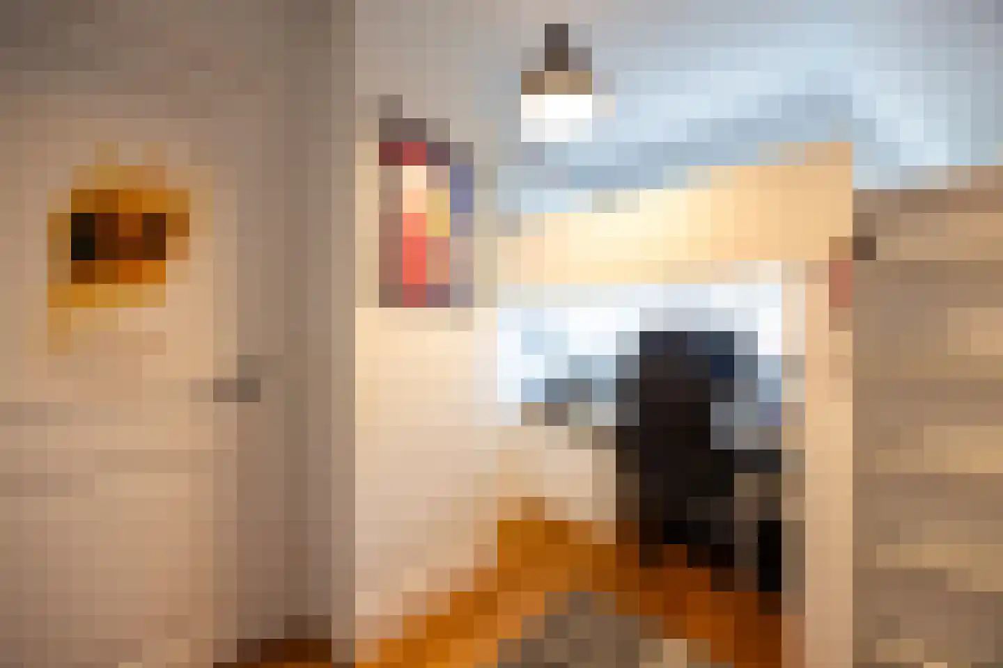 Boomberglaan 59 Hilversum thumbnail 44