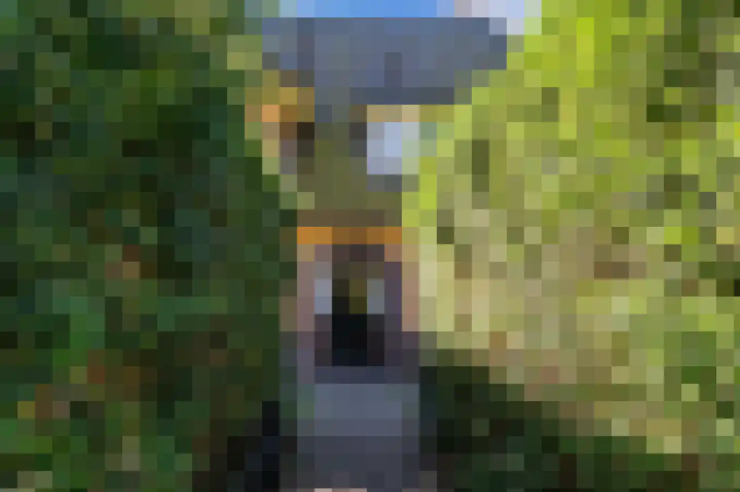 Boomberglaan 59 Hilversum thumbnail 5