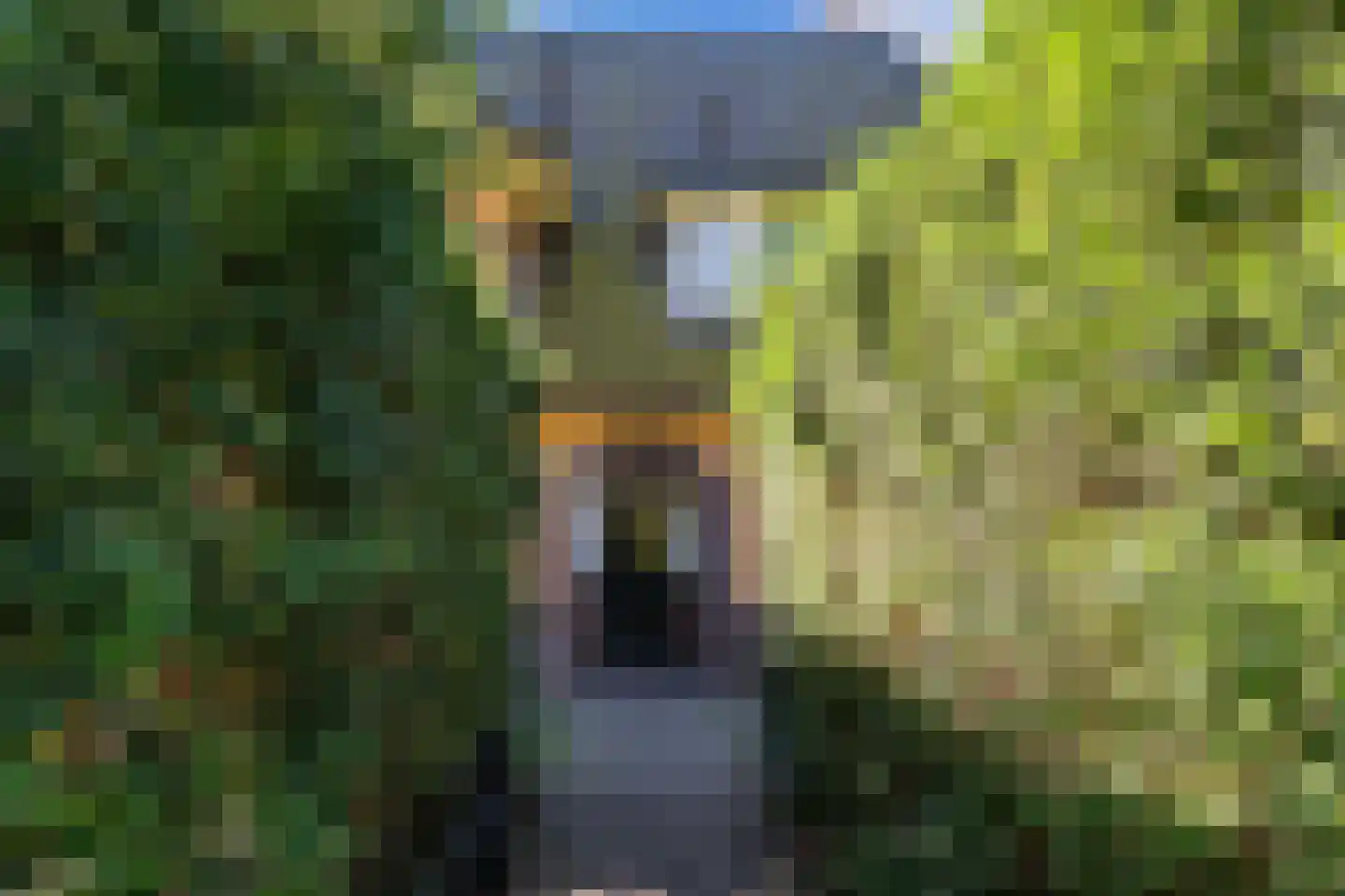 Boomberglaan 59 Hilversum thumbnail 5
