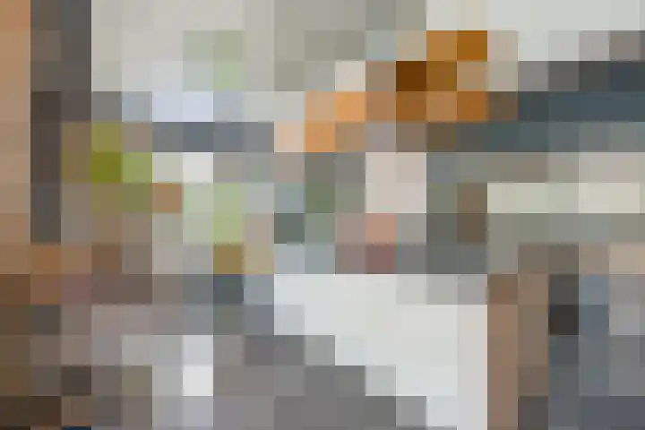 Boomberglaan 71 C Hilversum thumbnail 10