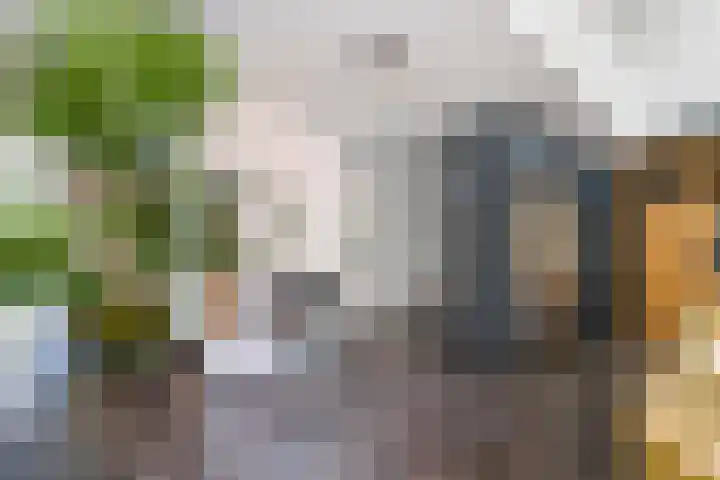 Boomberglaan 71 C Hilversum thumbnail 13