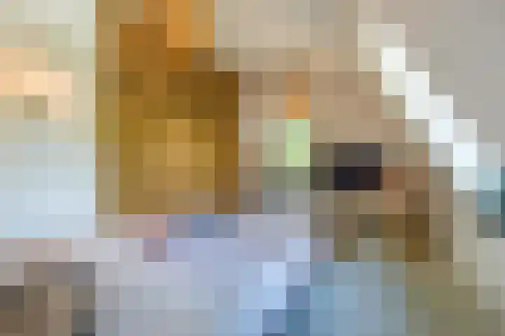 Boomberglaan 71 C Hilversum thumbnail 21