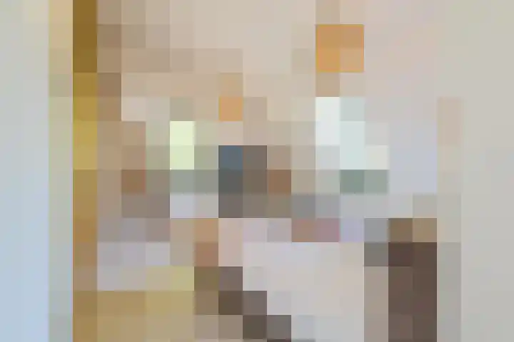 Boomberglaan 71 C Hilversum thumbnail 23