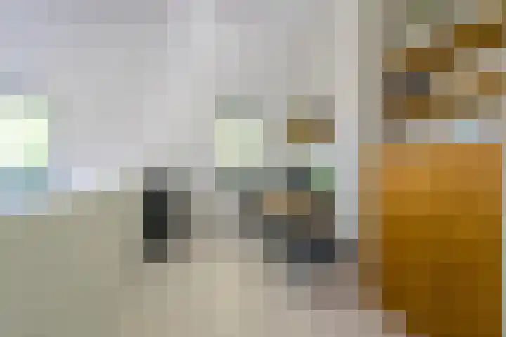 Boomberglaan 71 C Hilversum thumbnail 26