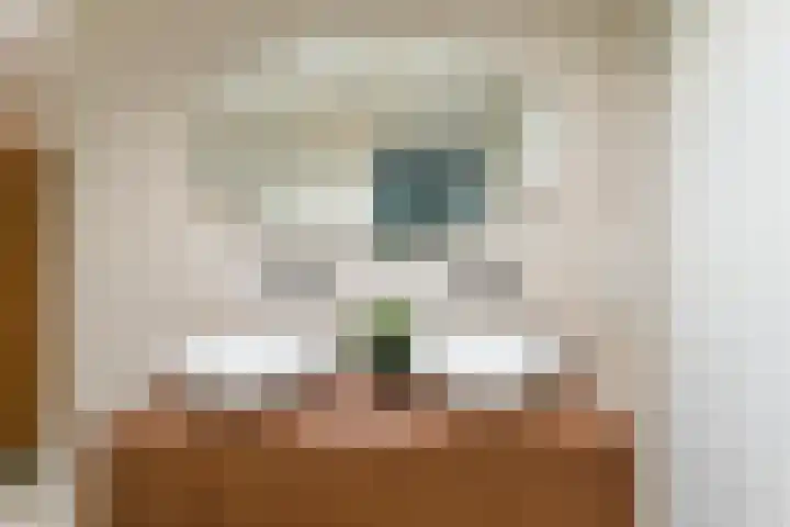 Boomberglaan 71 C Hilversum thumbnail 41