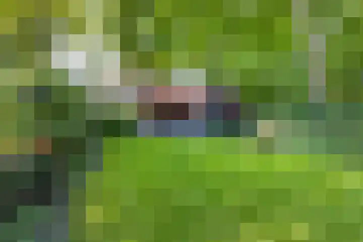 Boomberglaan 71 C Hilversum thumbnail 43