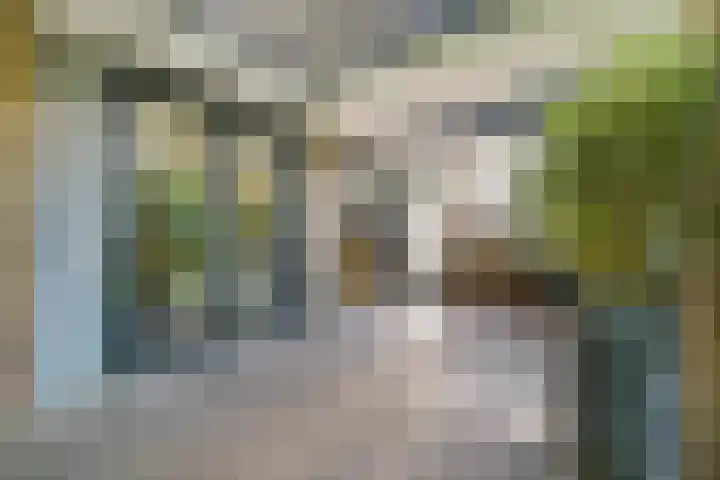 Boomberglaan 71 C Hilversum thumbnail 47