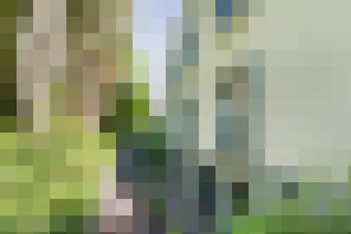 Boomberglaan 71 C Hilversum thumbnail 48