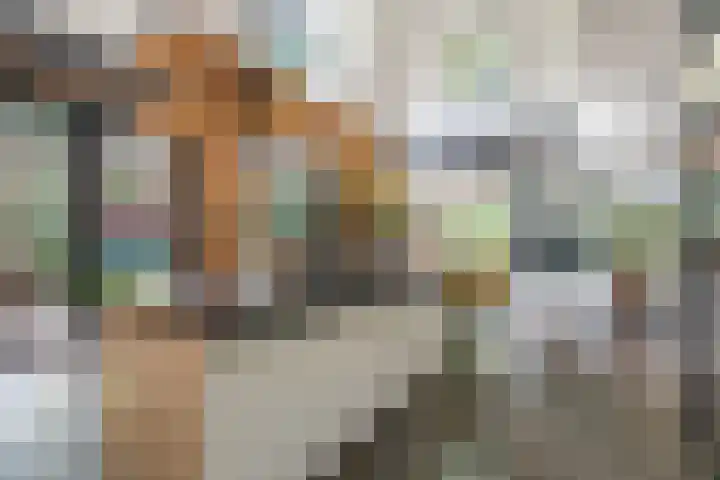 Boomberglaan 71 C Hilversum thumbnail 8