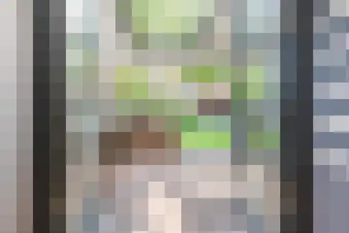 Boomberglaan 71 C Hilversum thumbnail 9