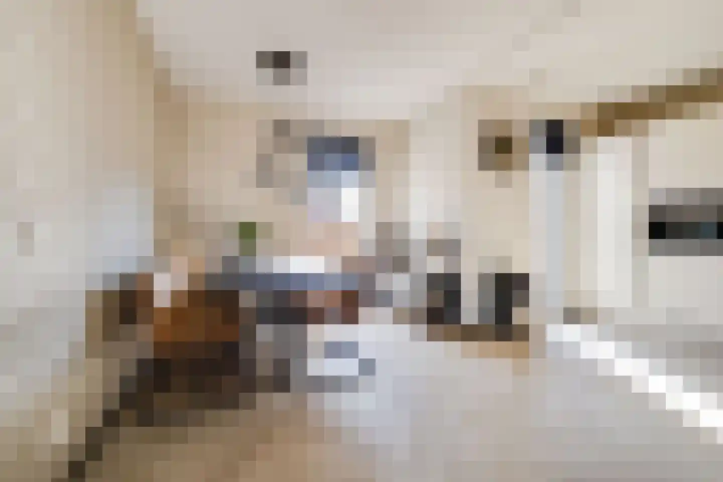 Boomblauwtje 44 Apeldoorn thumbnail 10