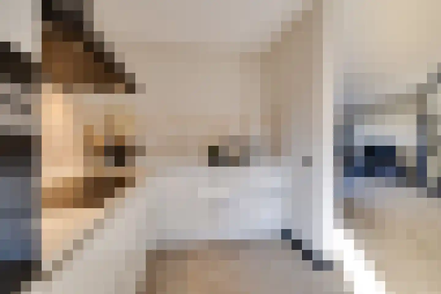 Boomblauwtje 44 Apeldoorn thumbnail 12