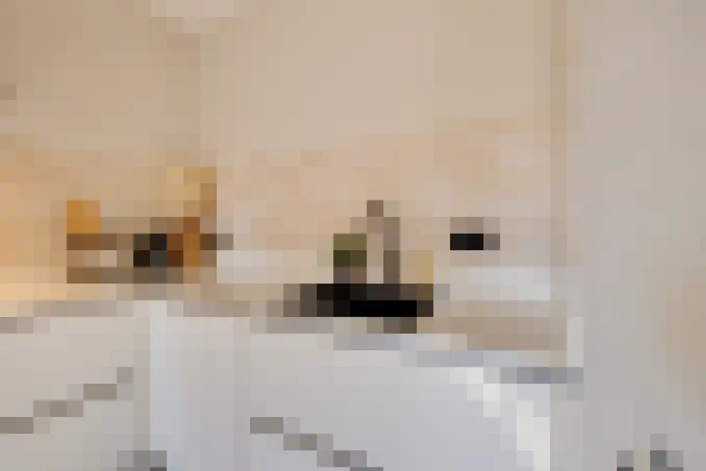 Boomblauwtje 44 Apeldoorn thumbnail 13