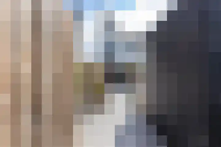 Boomblauwtje 46 Apeldoorn thumbnail 22