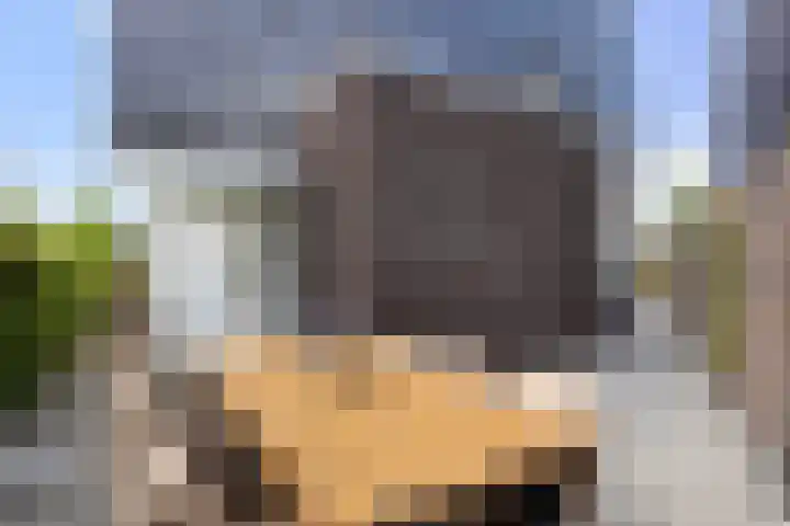 Boomblauwtje 46 Apeldoorn thumbnail 24