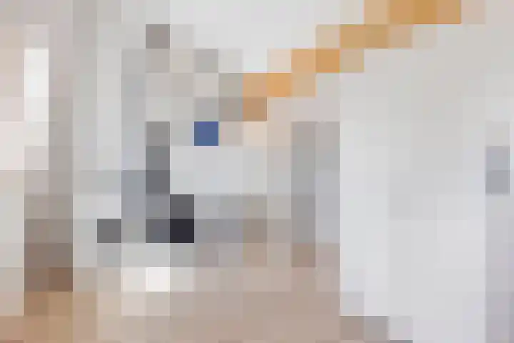 Boomblauwtje 46 Apeldoorn thumbnail 37