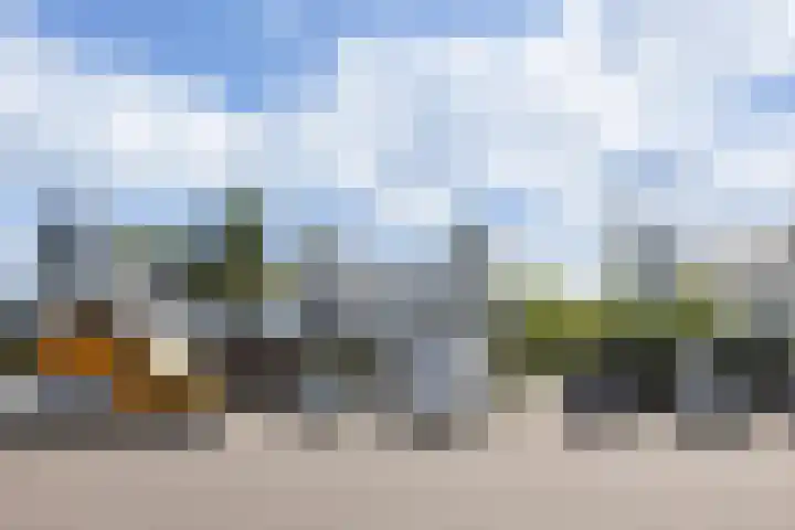 Boomblauwtje 46 Apeldoorn thumbnail 41